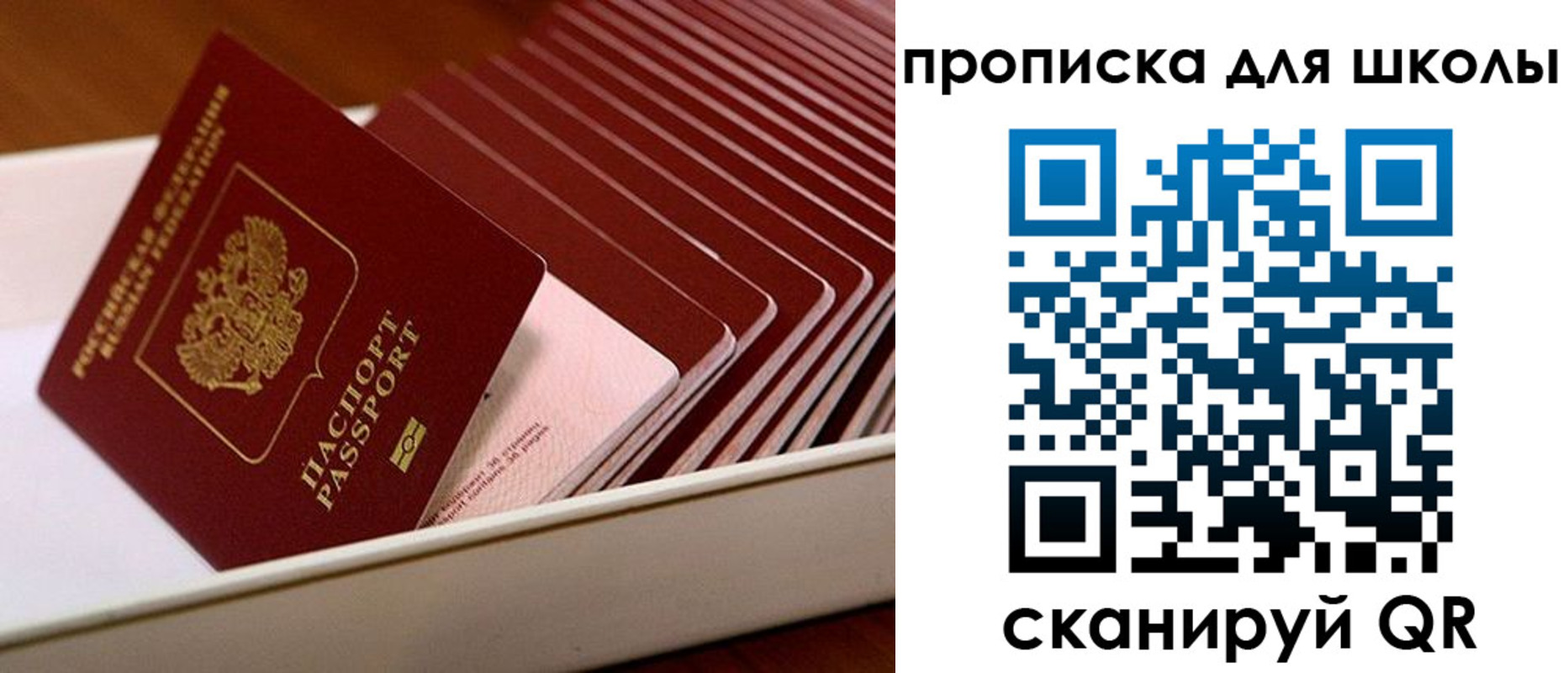 временная регистрация госуслуги в Палласовке